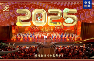 2025蛇年璀璨春晚舞台，LED显示助力科技之美